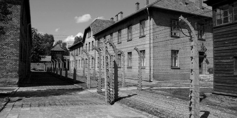 auschwitz-birkenau